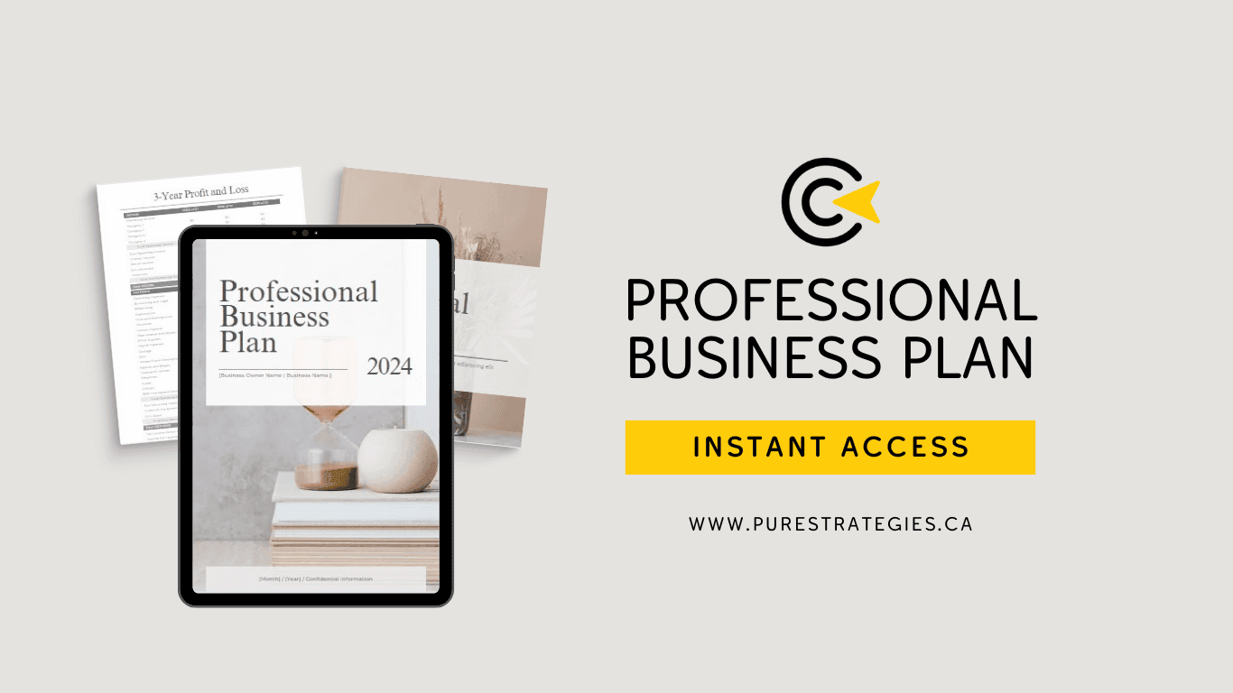 professional business and financial plan